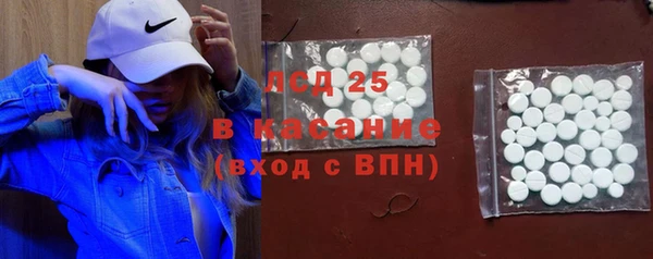 ГАЛЛЮЦИНОГЕННЫЕ ГРИБЫ Карталы