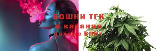 ГАЛЛЮЦИНОГЕННЫЕ ГРИБЫ Карталы